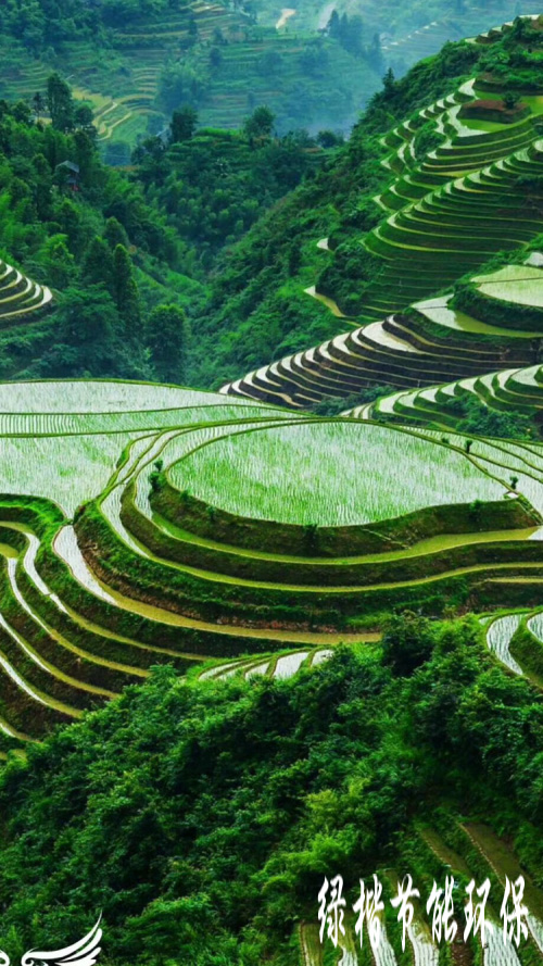 生態(tài)和環(huán)境規(guī)劃、可行性研究報(bào)告